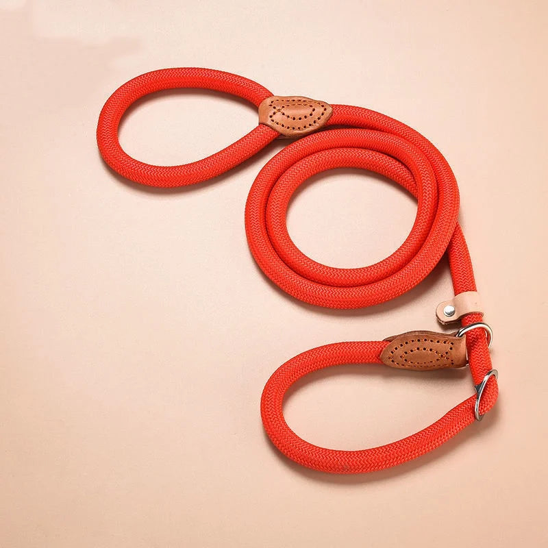 Houston & Hound - Adjustable 2-1 Collar + Lead