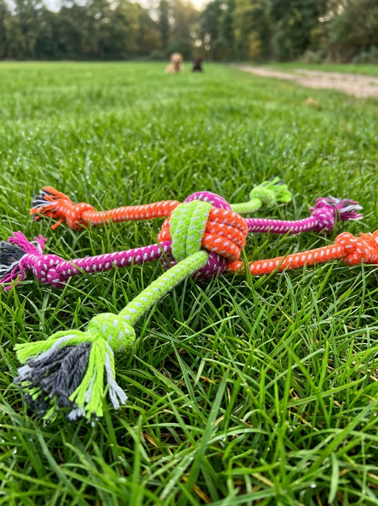Houston & Hound  - 6 way Durable Rope