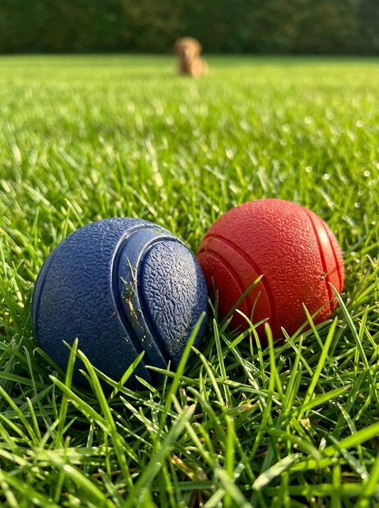 Houston & Hound  - Bite Resistant Chew Balls