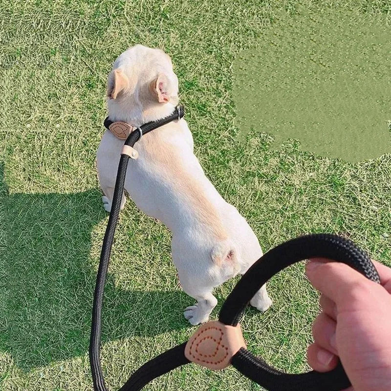 Houston & Hound - Adjustable 2-1 Collar + Lead